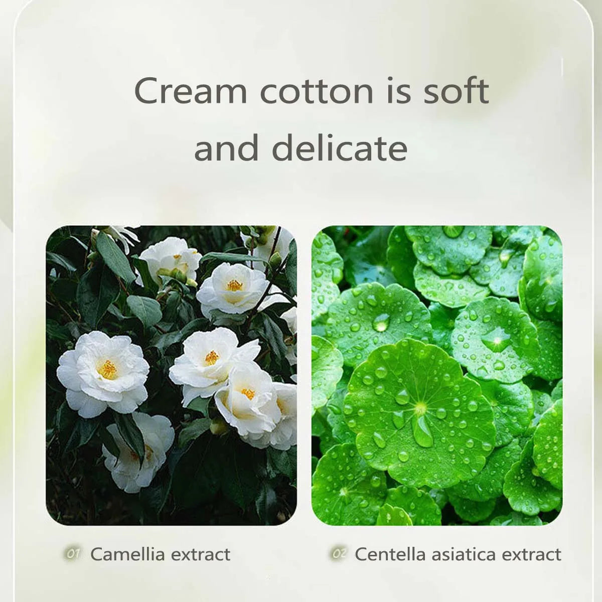 Moisturizing Camellia Soothing Cleansing Milk Soothes The Skin Refreshing And Delicate Oil Control